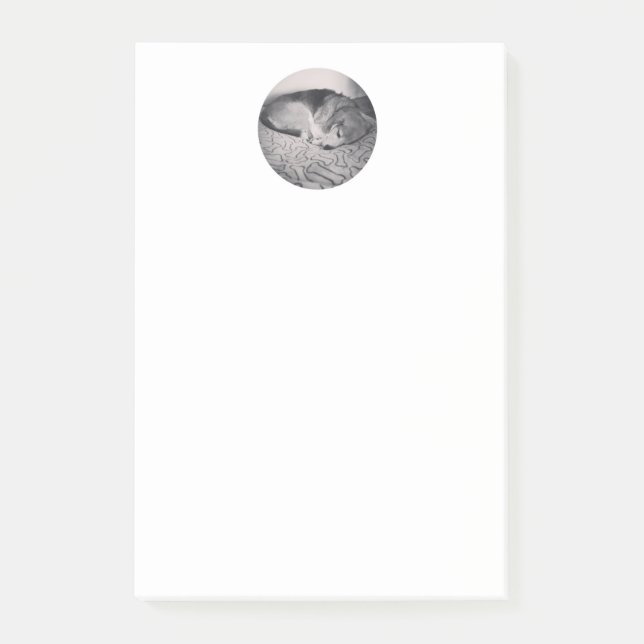 note de post-it de beagle (Devant)