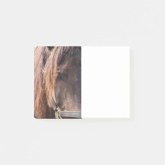 Note de post-it de cheval (Devant)