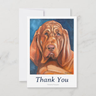 note de remerciement bloodhound