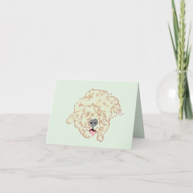 Note : Goldendoodle (Devant)