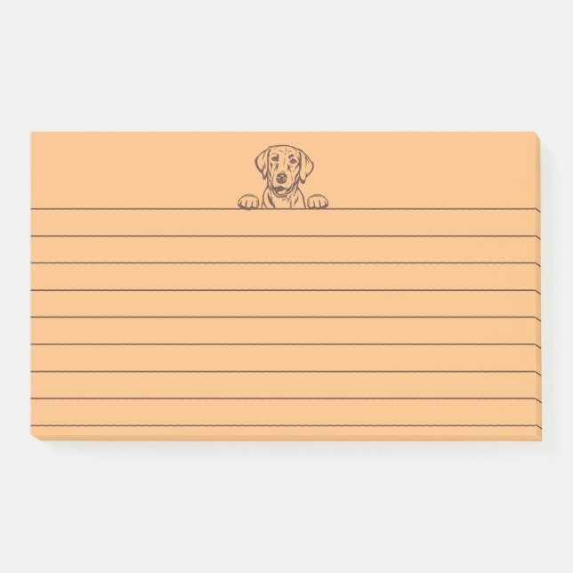 Notes de post-it à revêtement orange du laboratoir (Devant)