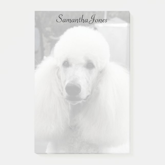 Notes de post-it de chien de caniche (Devant)