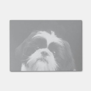 Notes de post-it de chien de Shih Tzu