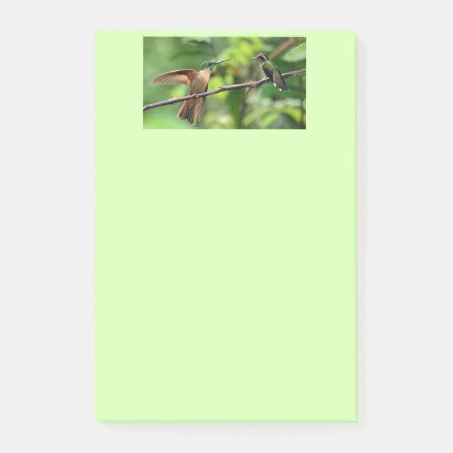 Notes de post-it de colibri (Devant)