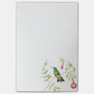 Notes de post-it de colibris de Goulds