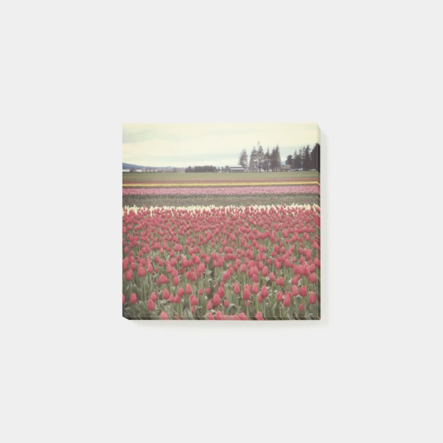 Notes de post-it de festival de tulipe (Devant)