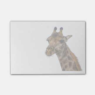 Notes de post-it de girafe