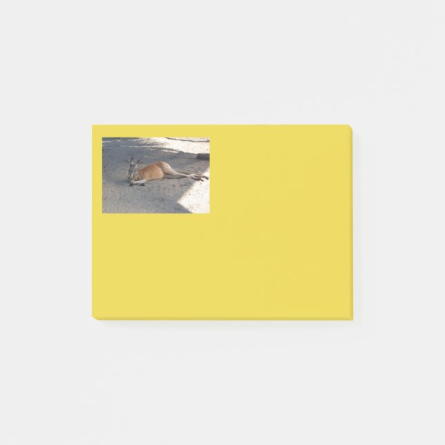 Notes de post-it de kangourou (Devant)