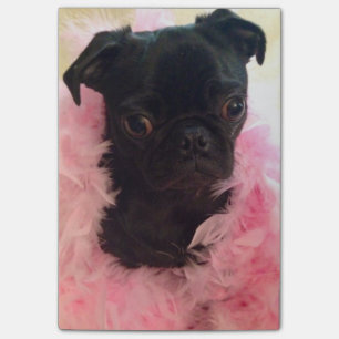 Notes de post-it de Mlle Harley