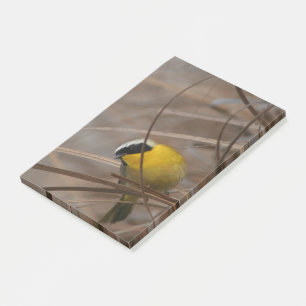 Notes de post-it de photographie de faune d'oiseau
