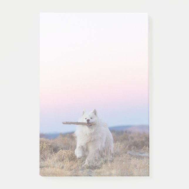 Notes de post-it du gestionnaire de succursales 4  (Devant)