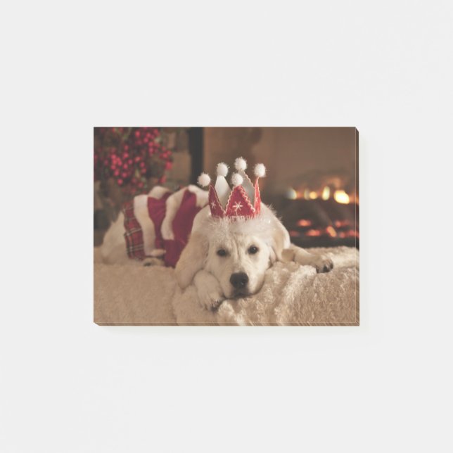 Notes de post-it vides de photo de golden (Devant)