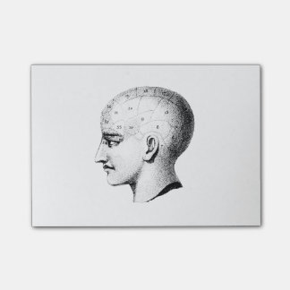 Notes de post-it vintages de diagramme d'anatomie