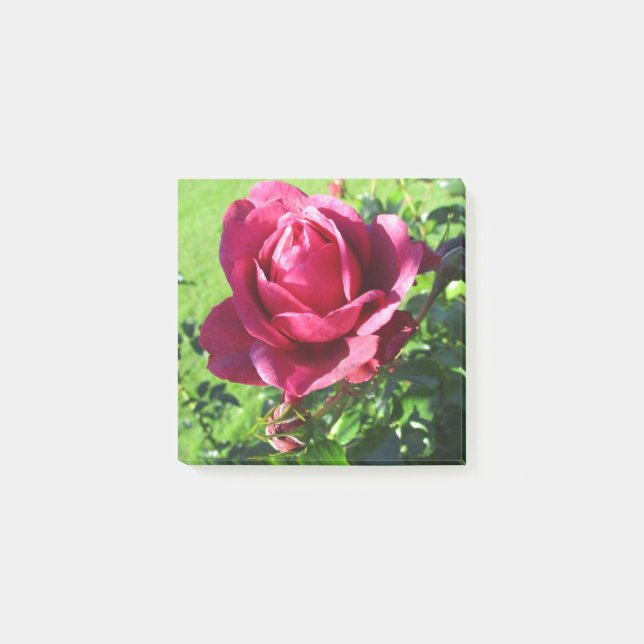 Notes post-it (Devant)