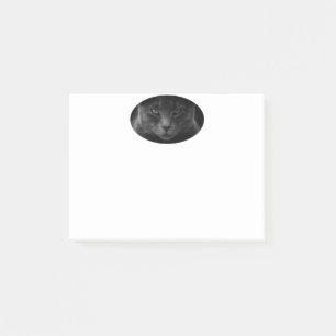 Notes post-it de chat