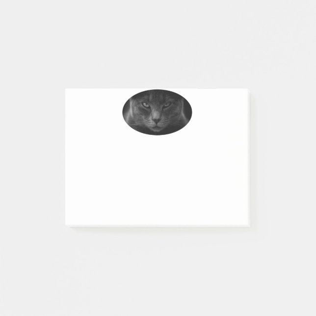 Notes post-it de chat (Devant)