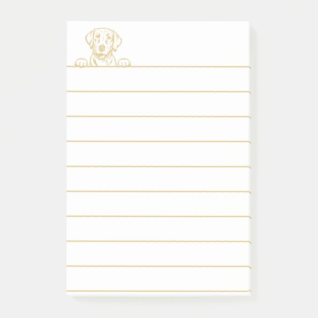 Notes post-it de laboratoire jaune de 4 po x 6 po (Devant)