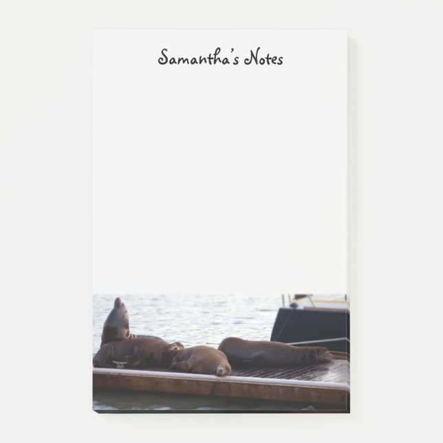 Notes post-it des lions de mer (Devant)