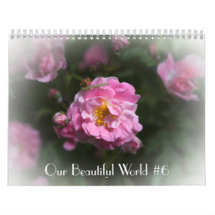 Notre beau calendrier mondial #6