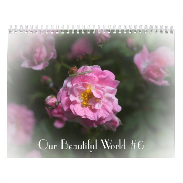 Notre beau calendrier mondial #6 (Protection)
