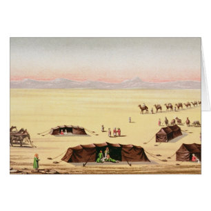 Notre camp de désert