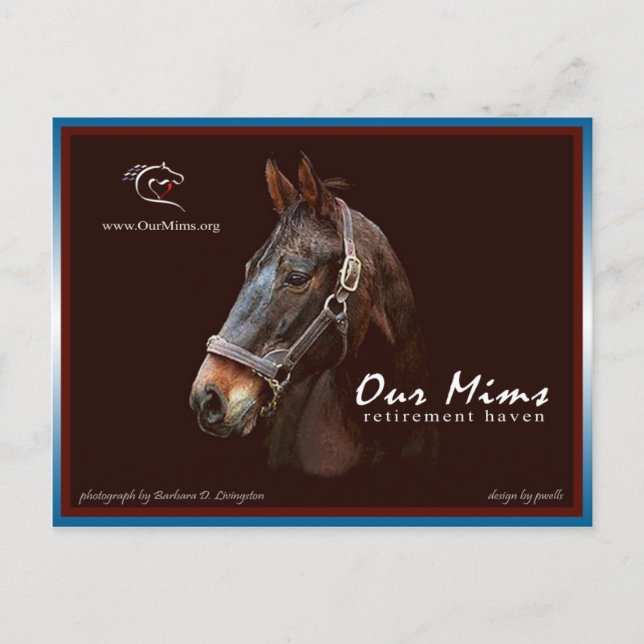 Notre carte postale de tribut Mims (Devant)