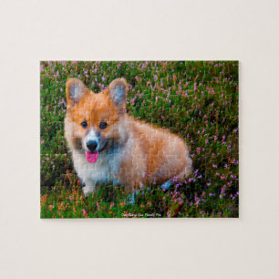 Notre Corgi Notre Animal de Compagnie Puzzle