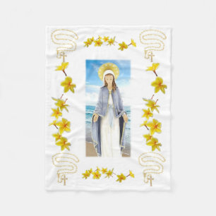 Notre-Dame, Étoile de la Mer, couverture polaire