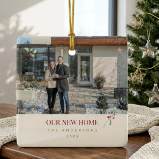 Notre décoration de Noël souvenir de notre nouvell