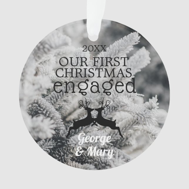 Notre hiver B&W de pins engagé premier par Noël (devant)