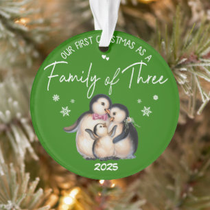 Notre premier Noël en famille de trois