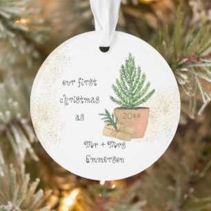 Notre premier Noël en tant que M. et Mme Sapin en