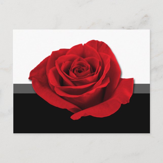 Notre Rose d'amour ~ carte postale (Devant)