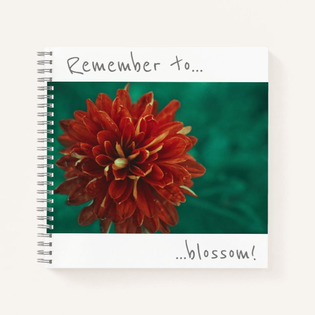 N'oubliez pas de faire éclore le cahier du chrysan (Devant)