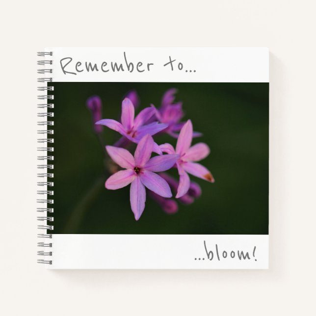 N'oubliez pas de faire fleurir Cahier Fleurs Viole (Devant)