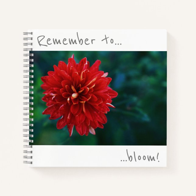 N'oubliez pas de faire fleurir le cahier de chrysa (Devant)
