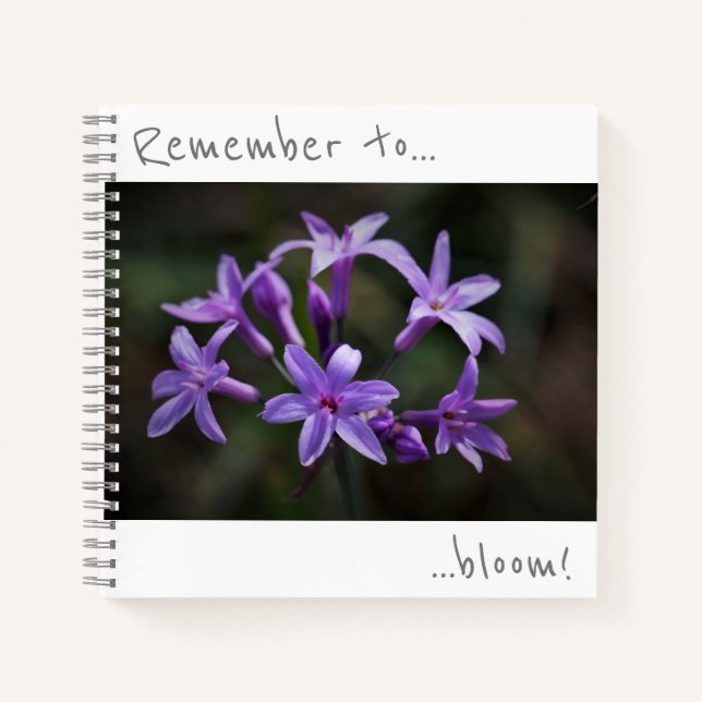N'oubliez pas de fleurir Cahier de fleurs bleues v (Devant)