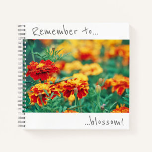 N'oubliez pas de fleurir Cahier de fleurs de souci