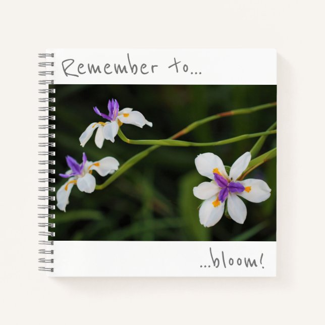 N'oubliez pas de fleurir Cahier de fleurs d'Iris s (Devant)