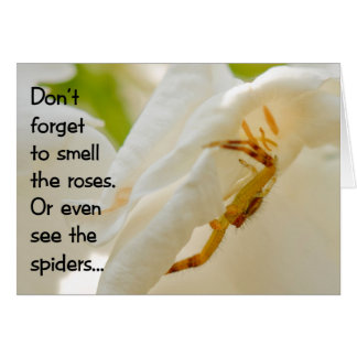 N'oubliez pas de sentir l'odeur des roses