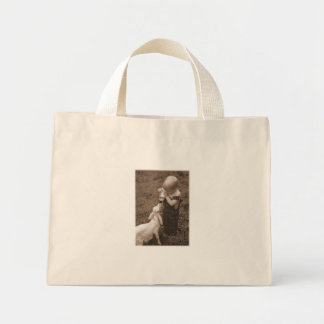 Nourrir le petit sac de chèvre