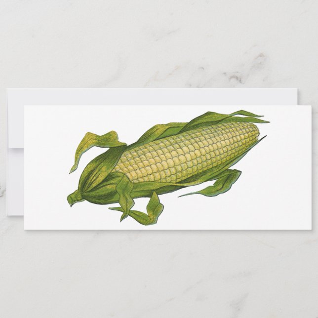 Nourriture vintage, Légumes sains, Maïs sur la cui (Devant)
