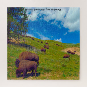 Nous aimons Bison Wyoming. Puzzle
