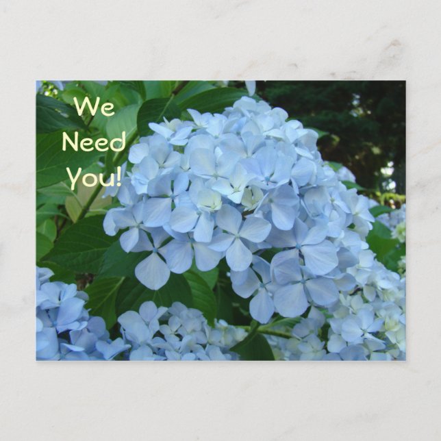 Nous avons besoin de vous! cartes postales Impliqu (Devant)