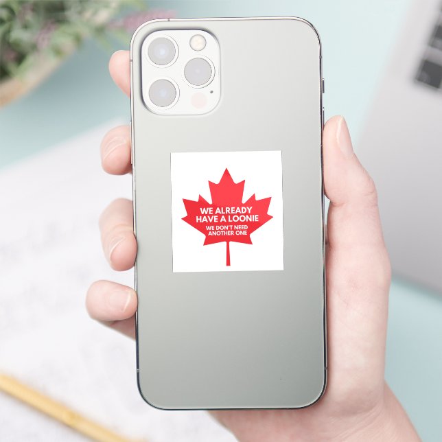 Nous avons déjà Loonie Petit Sticker Vinyl (Téléphone)