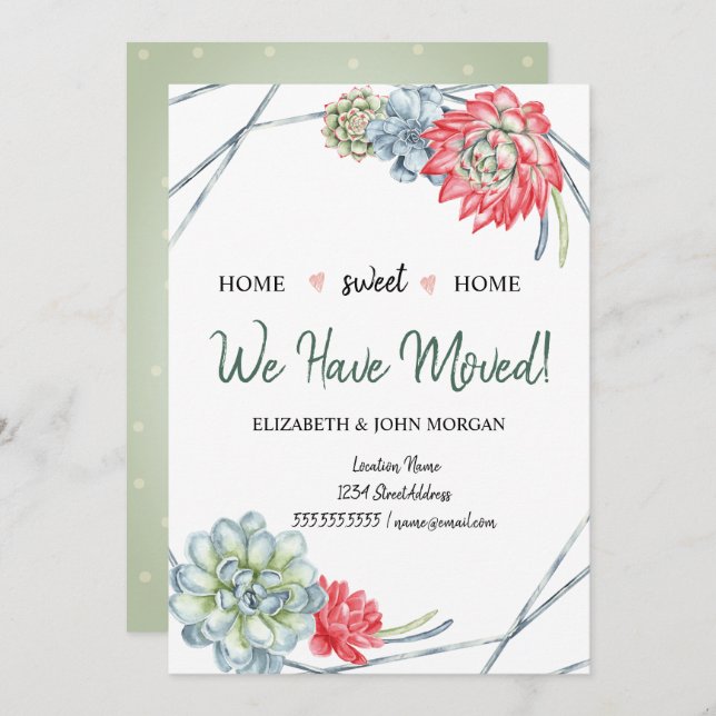 Nous Avons Déménagé, Cactus Du Désert Succulents R (Devant / Derrière)