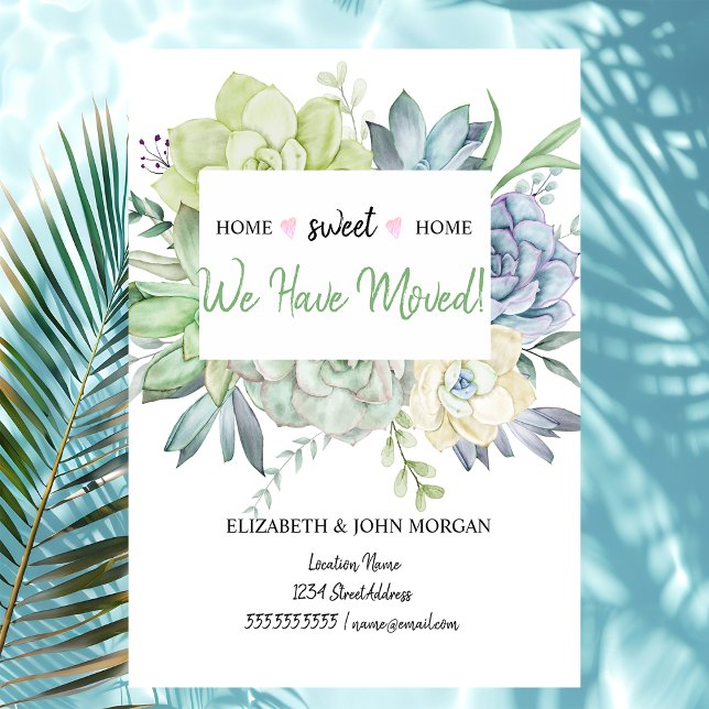 Nous Avons Déménagé, Cactus Succulents Pois (Créateur téléchargé)