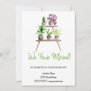 Nous avons déménagé,Plantes,Arrangement