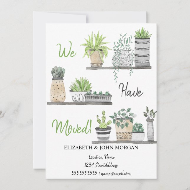 Nous Avons Déménagé, Plantes, Étagères (Devant)