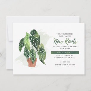 Nous avons déplacé Aquarelle Plantée Nouvelles Rac